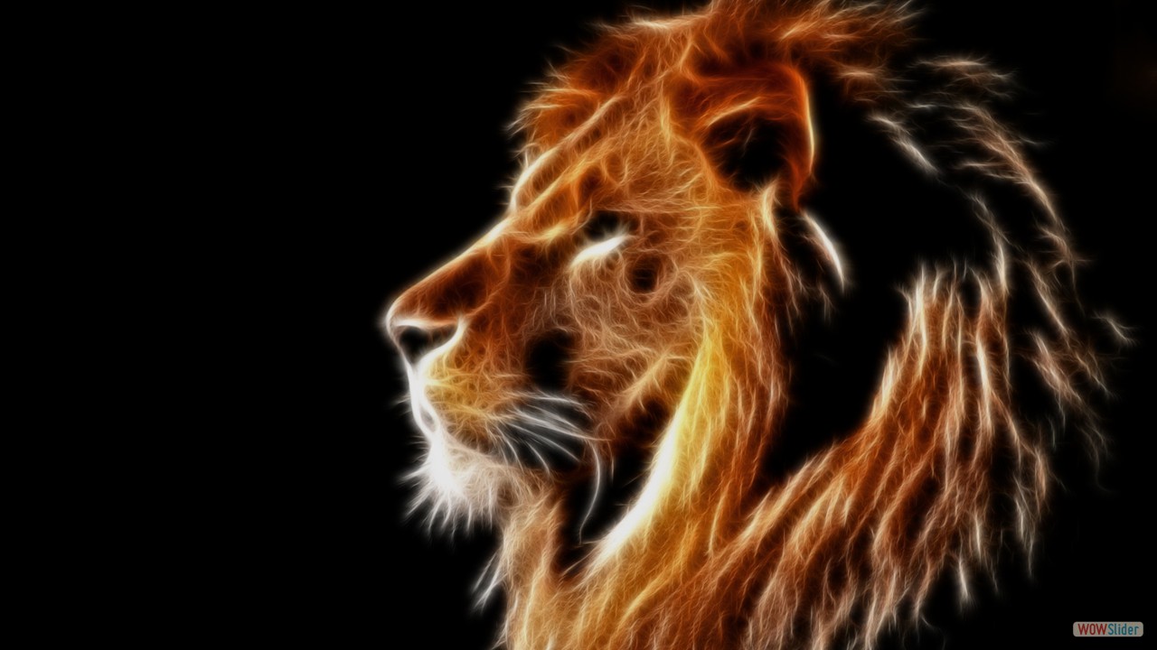 Creative-design-light-lion-mane-black-background_1920x1200