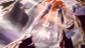 dedva3g-52b7b7eb-929e-4e14-b14f-5ed2313f22a9
